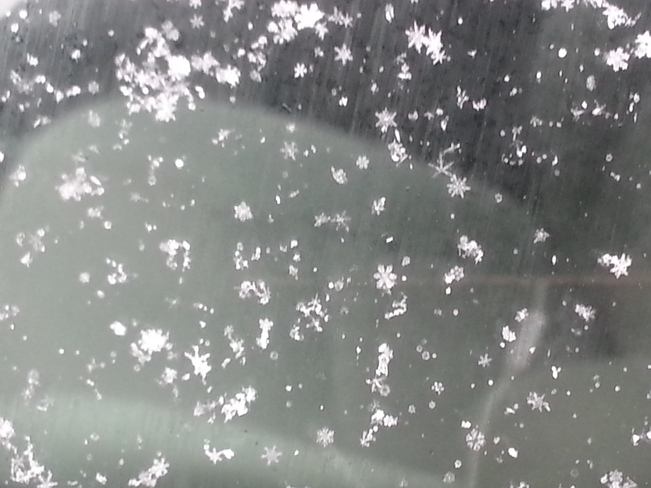 Pretty Snow Flakes on the Windshield Richmond Hill, Ontario Canada