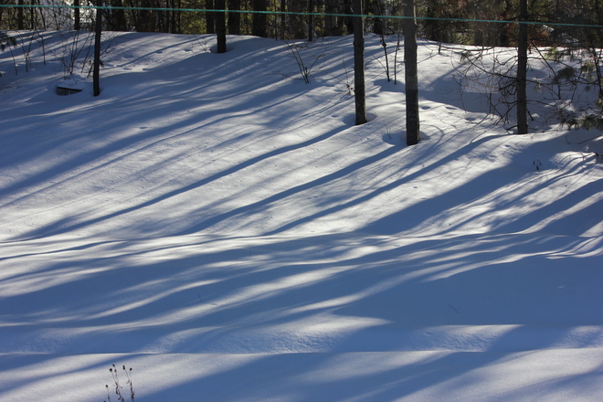 Shadows on the snow. Petawawa, Ontario Canada