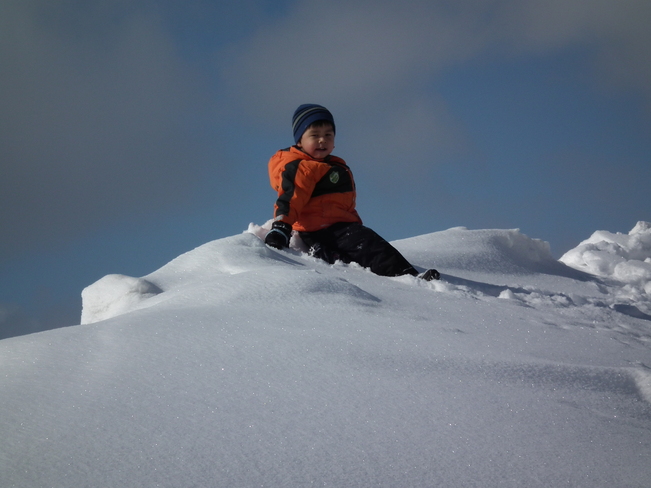 grandson on snowbank Lewisporte, Newfoundland and Labrador Canada