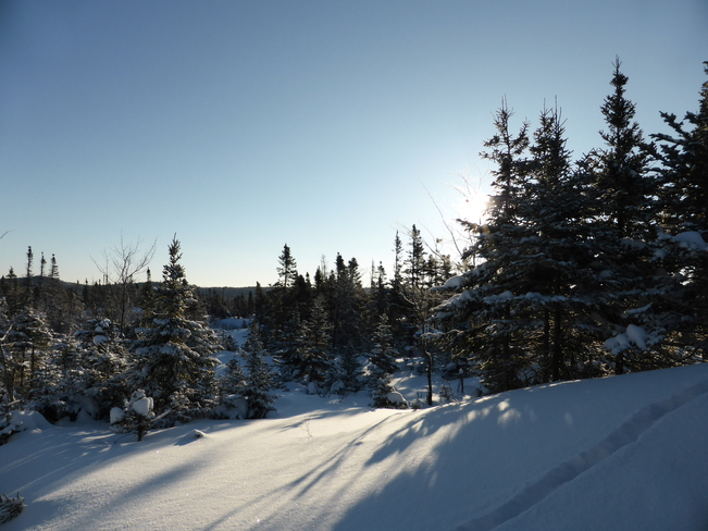 Winter Scene Birchy Bay, Newfoundland and Labrador Canada