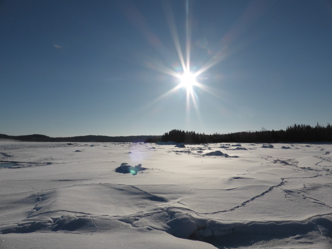 Bright Morning Sun Birchy Bay, Newfoundland and Labrador Canada