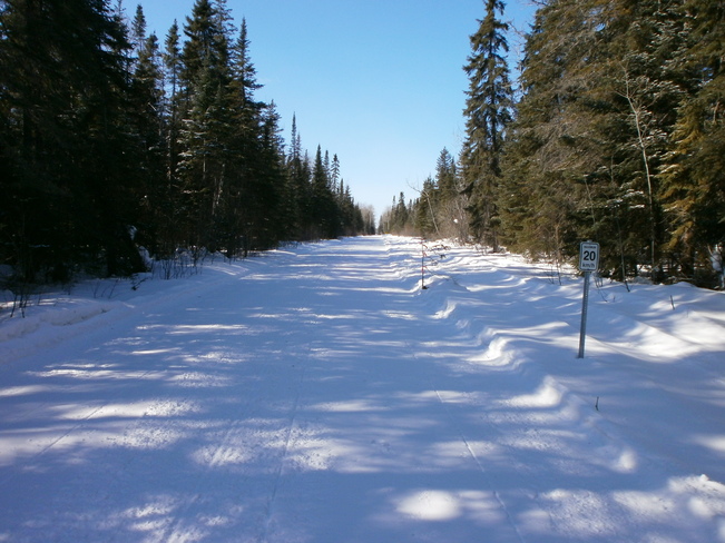 snowmachine trail South Porcupine, Ontario Canada