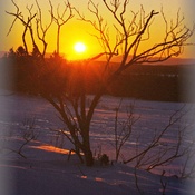 Soleil d&#39;hiver