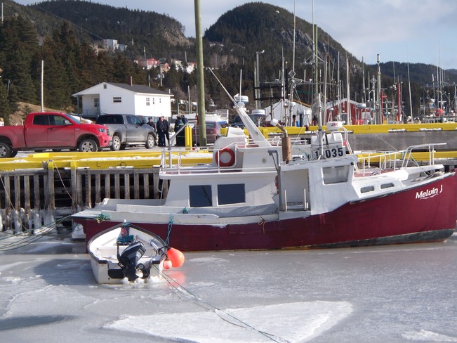 Boats , Jerseyside, p.bay. Placentia, Newfoundland and Labrador Canada