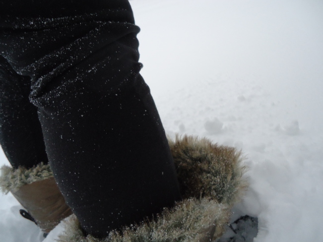 Blizzard Snow up to my Boots over Ankles Fort Erie, Ontario Canada