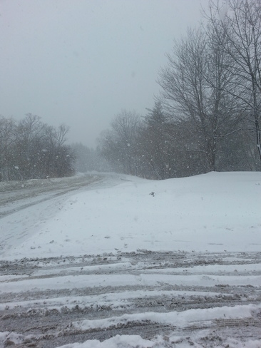 Wacky Snowfall at UTM Mississauga, Ontario Canada