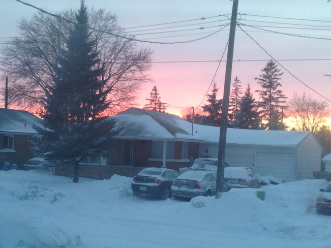 After the storm on Mar. 12 2014 Kitchener, Ontario Canada