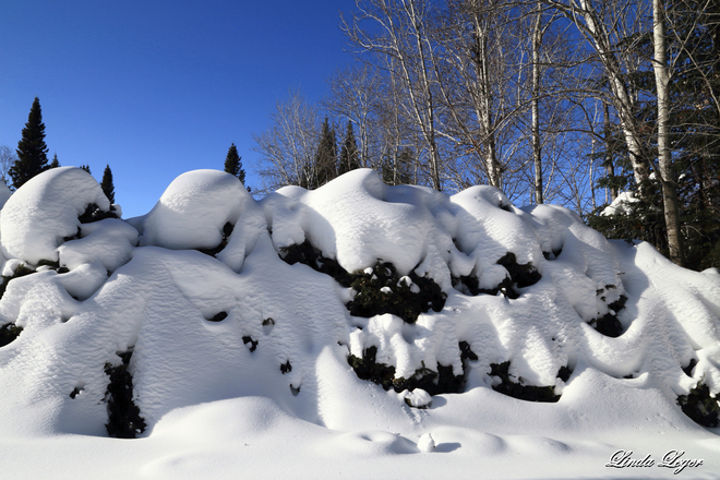 A Thick Snow Comforter Lac du Bonnet, Manitoba Canada