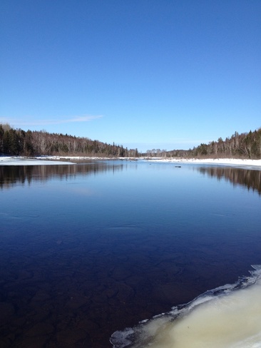 Rocky Pond Brook. Birchy Bay, Newfoundland and Labrador Canada