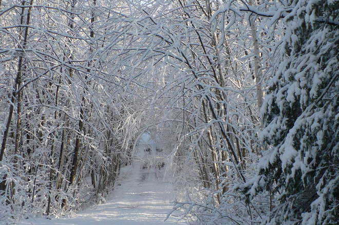 Fresh Snowfall Bummers' Roost, Ontario Canada