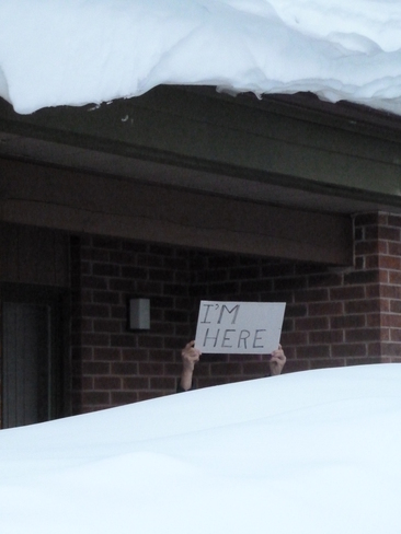 Snow Distress Temagami, Ontario Canada