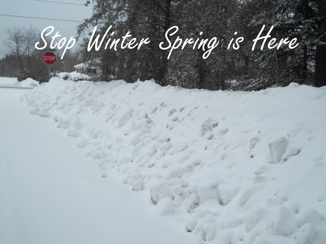 Stop winter Spring has SPrung Timmins, Ontario Canada