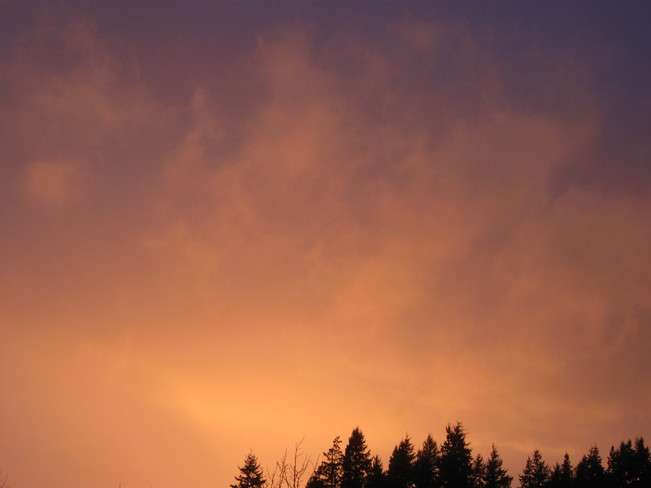 orange sky Surrey, British Columbia Canada