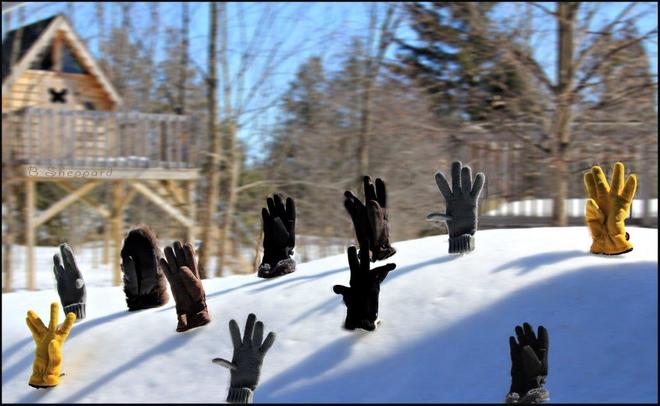 Say no to more snow Kemptville, Ontario Canada