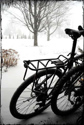 which bike? Carleton Place, Ontario Canada