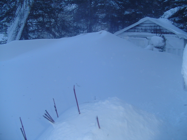 lots snow O'Leary, Prince Edward Island Canada
