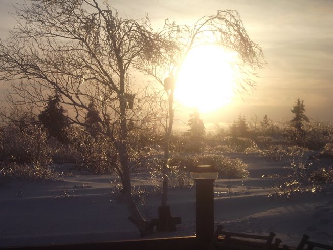 after the 3 day ice storm. North Sydney, Nova Scotia Canada