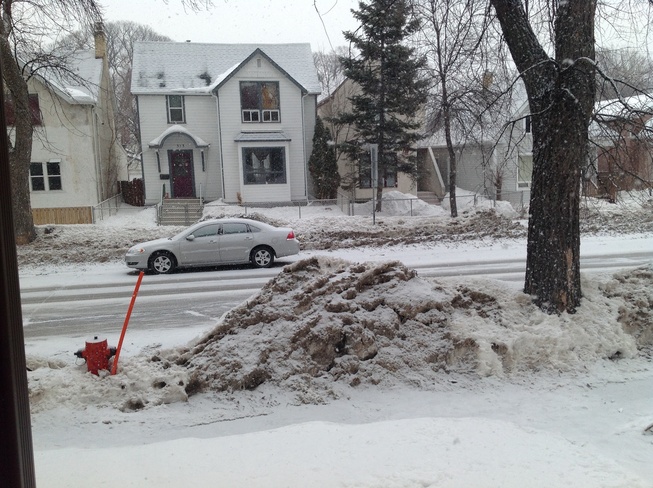 Some joke!Snowing coming down like rain! Winnipeg, Manitoba Canada