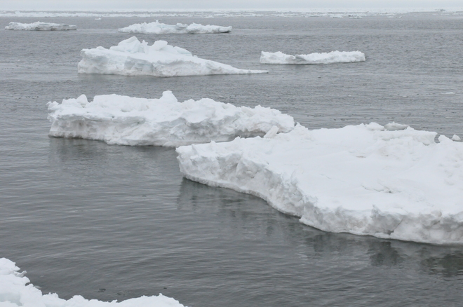 Small icebergs. Cap-Pele, New Brunswick Canada
