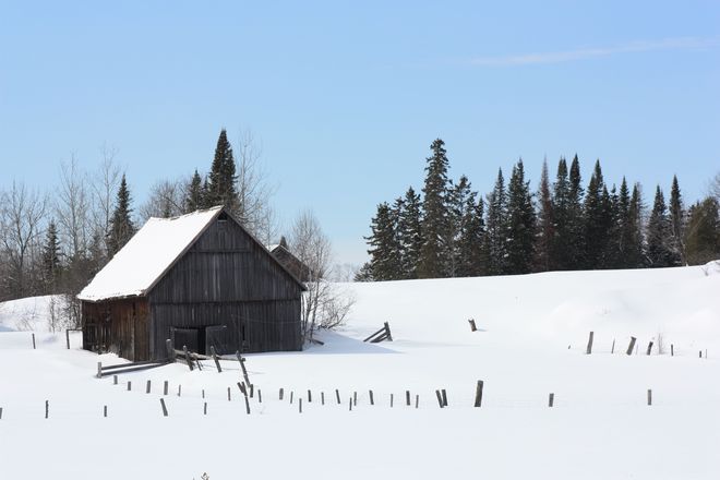 Old Barn-Hudson Twp Temiskaming Shores, Ontario Canada