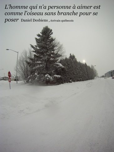 La blancheur de l'hiver Chicoutimi-Est, Quebec Canada
