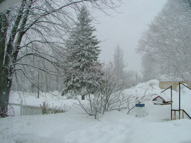 snow april 4th Webbwood, Ontario Canada