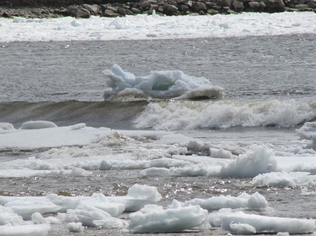 Gulf Ice in Port Hilford Bay, NS Sherbrooke, Nova Scotia Canada