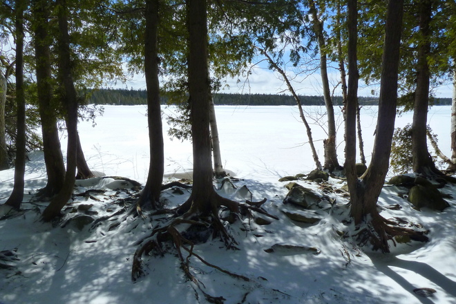 Cyprus Lake Tobermory, Ontario Canada