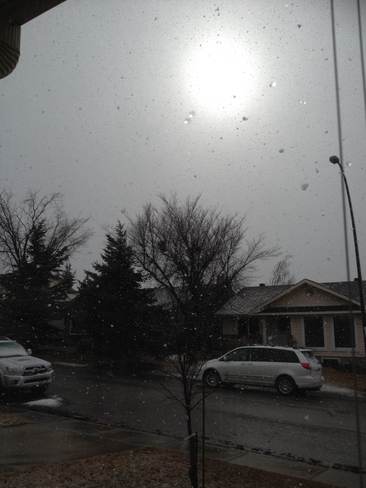 Sunshine and Snow Calgary, Alberta Canada