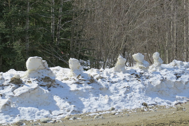 Snow sentinels Timmins, Ontario Canada