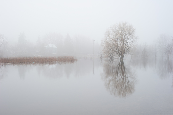 A Foggy Morn Ottawa, Ontario Canada