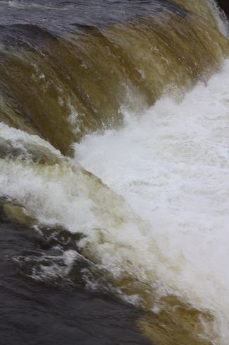 More water Fenelon Falls, Ontario Canada