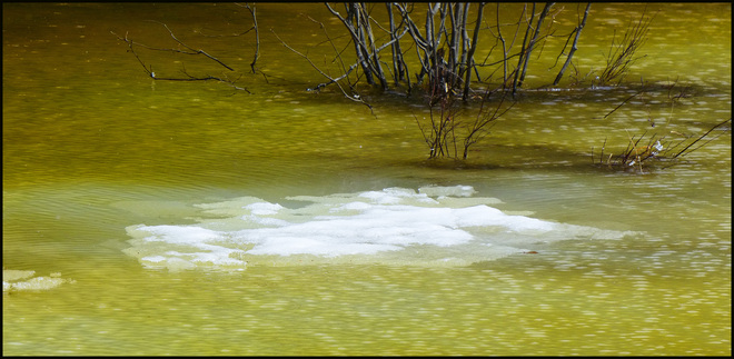 Yellow/green water, Milliken Mine Rd. Elliot Lake, Ontario Canada