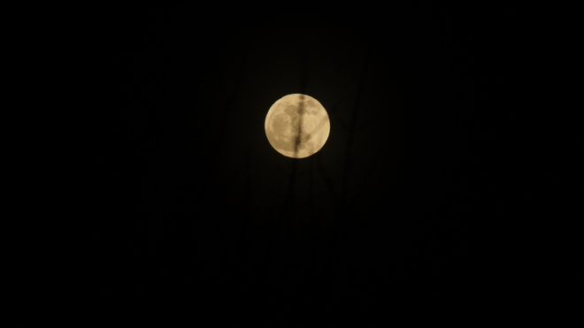 Moon Shot Halifax, Nova Scotia Canada