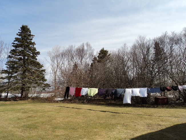 Spring into spring with the clothesline Carbonear, Newfoundland and Labrador Canada