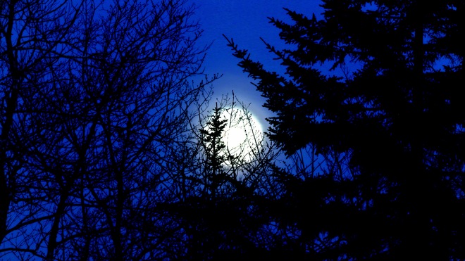 Big Moon Dark Blue Night Middle Beaver Bank, Nova Scotia Canada