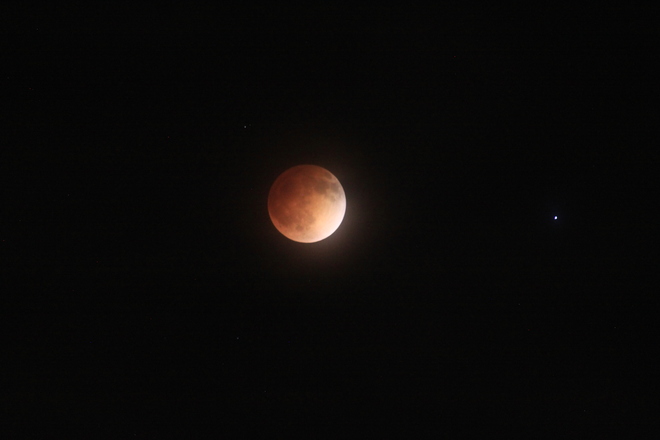 Total Lunar Eclipse Red Deer, Alberta Canada