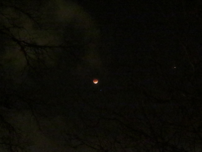 Blood Moon, Spica and Mars Moncton, New Brunswick Canada