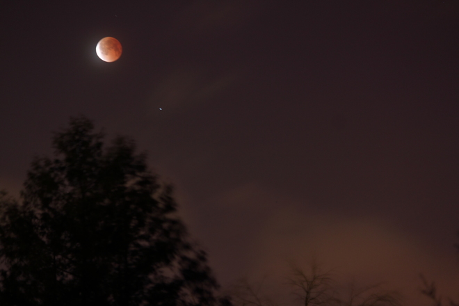 Blood Moon April 15, 2014 Dieppe, New Brunswick Canada
