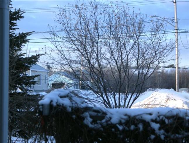 matin froid Rouyn-Noranda, Quebec Canada
