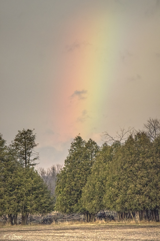 First Rainbow of the Season Smiths Falls, Ontario Canada