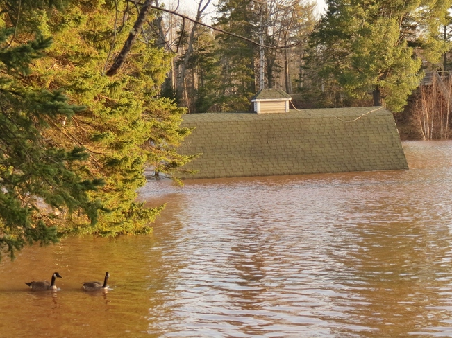 Centennial Park Flood #2 Moncton, New Brunswick Canada