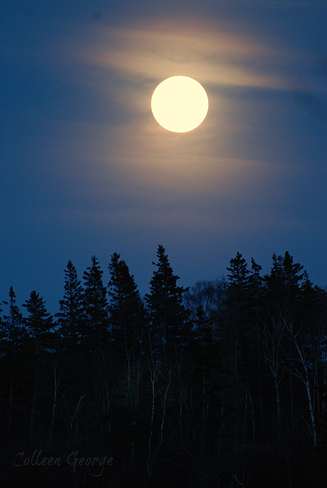 Moon Over the Cliffs Centreville, Nova Scotia Canada