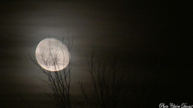 belle lune Joyceville, Ontario Canada