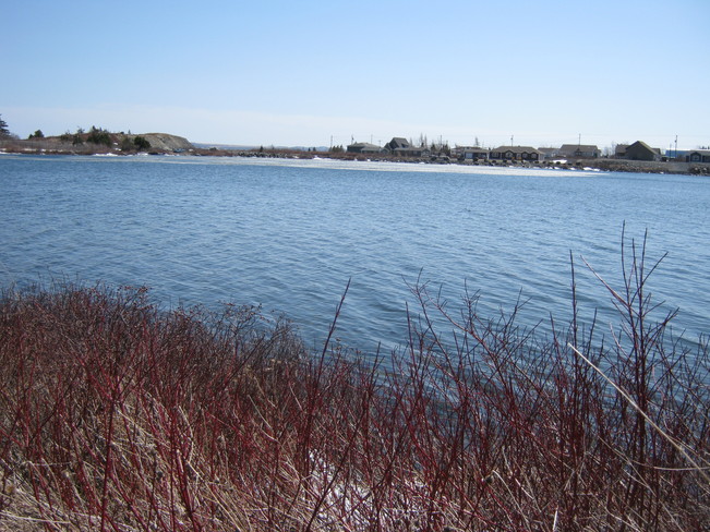 Last of ice on Northern Cove Pond 