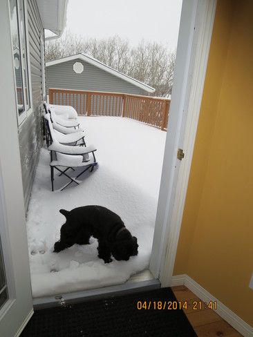 No more snow please!!! Roblin, Manitoba Canada