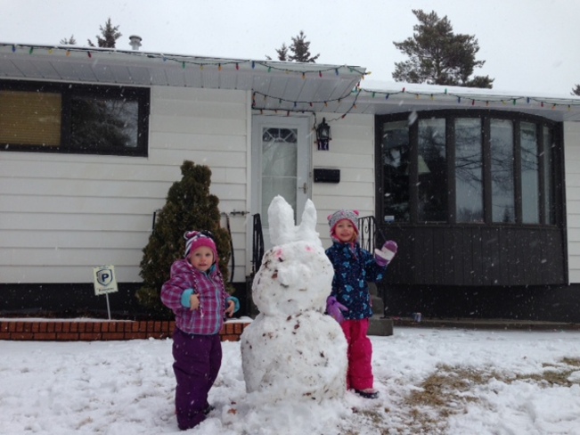 snow bunny Saskatoon, Saskatchewan Canada