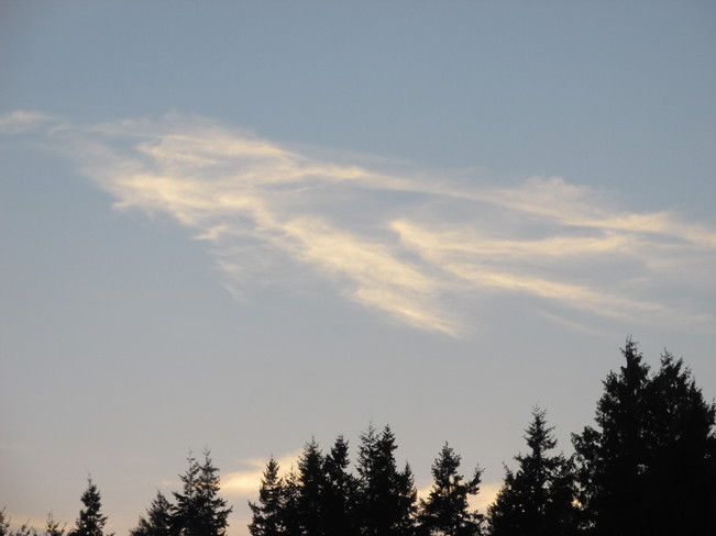 sky ghost Surrey, British Columbia Canada