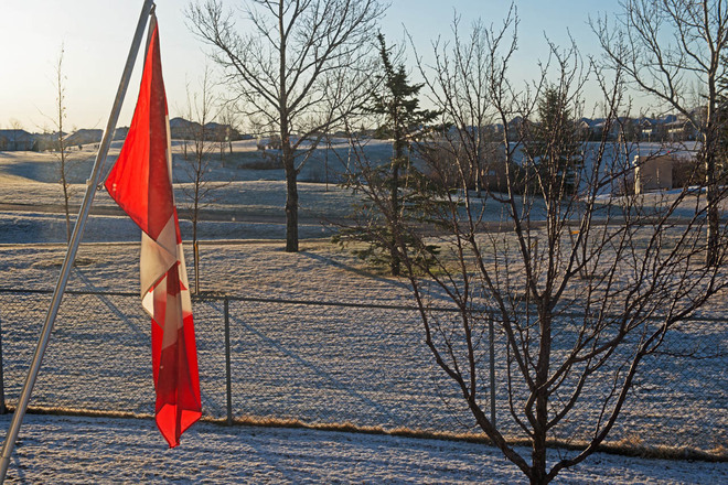 Morning Frost Lethbridge, Alberta Canada