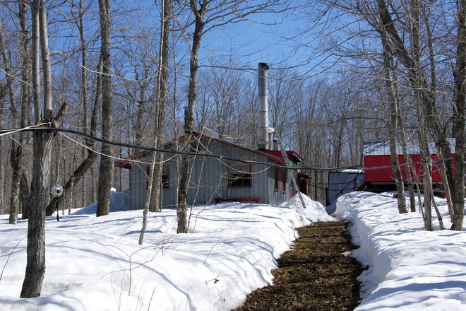 Sugar Camp Bathurst, New Brunswick Canada